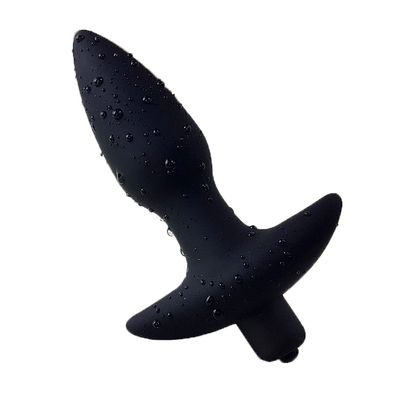 10 Speed Anal Sex Toys G Spot Prostate Massager Anal Vibrator for Male & Female Gay Anal Plugs, Men Butt Plug